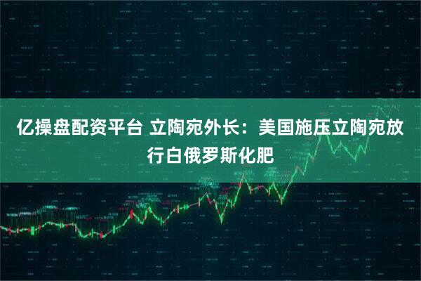 亿操盘配资平台 立陶宛外长：美国施压立陶宛放行白俄罗斯化肥