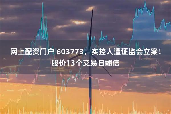 网上配资门户 603773，实控人遭证监会立案！股价13个交易日翻倍